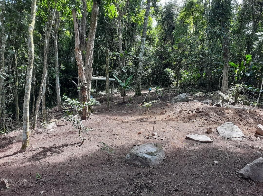 VENDO TERRENO EM PEDRO DE TOLEDO