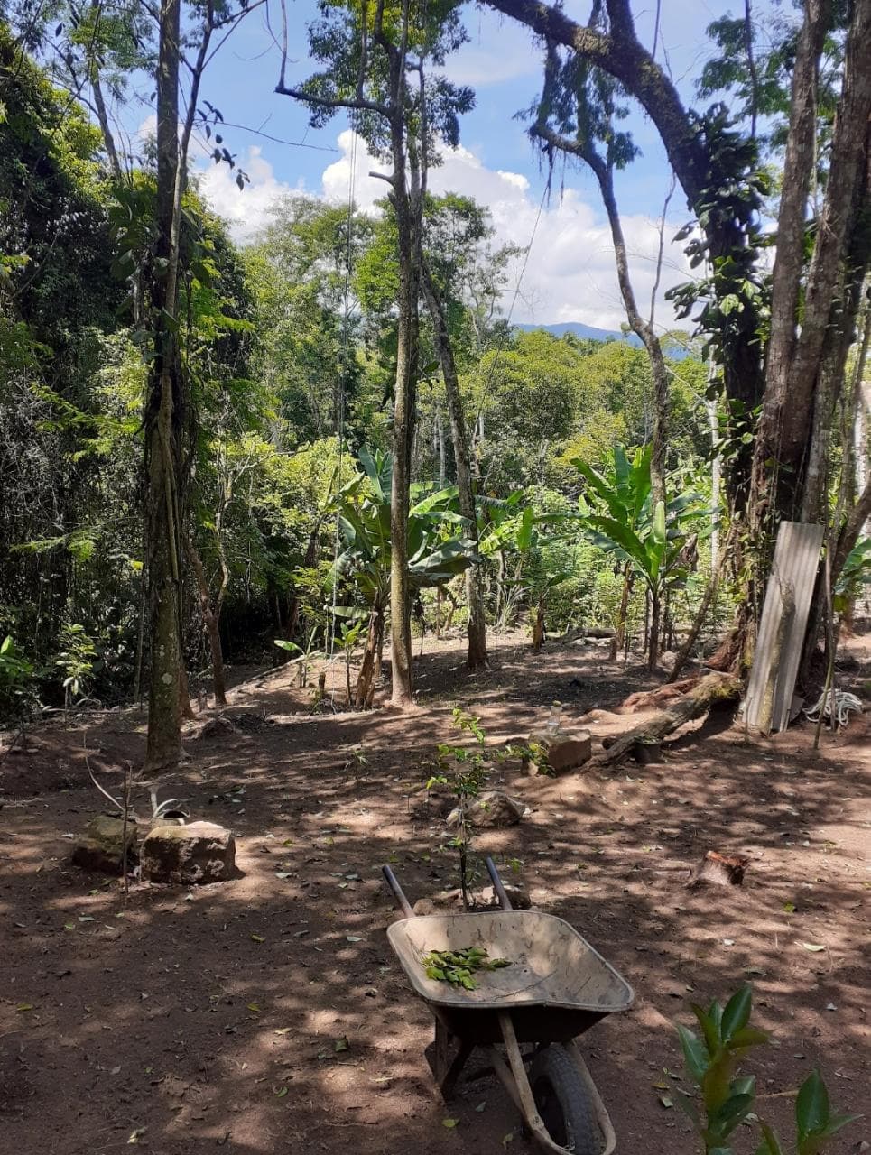 VENDO TERRENO EM PEDRO DE TOLEDO