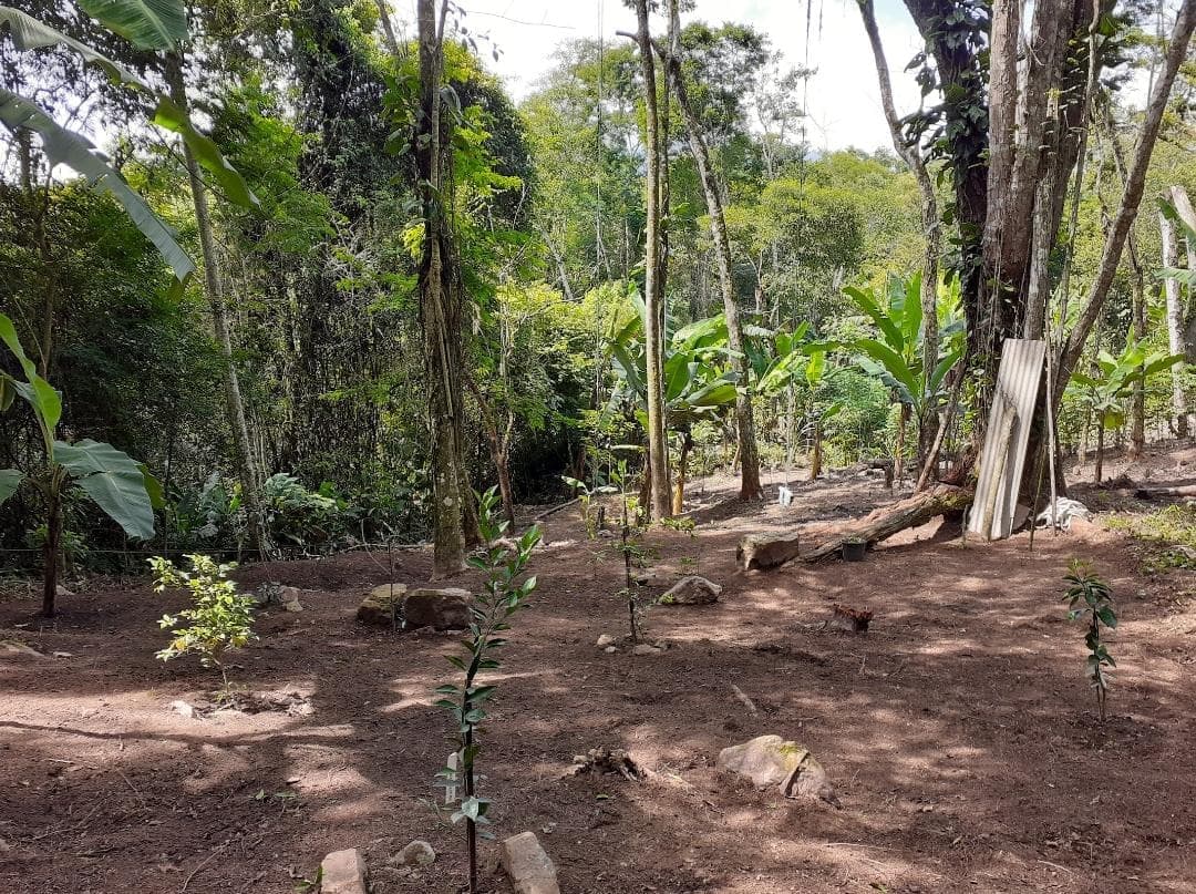 VENDO TERRENO EM PEDRO DE TOLEDO